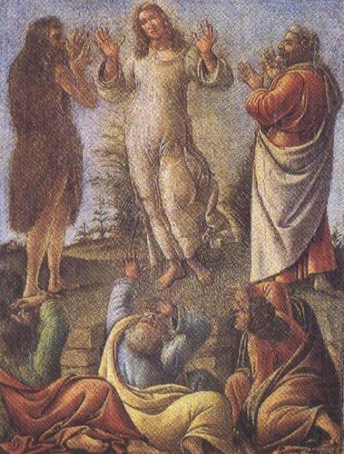 Sandro Botticelli Transfiguration,wtih St jerome and St Augustine (mk36) china oil painting image
